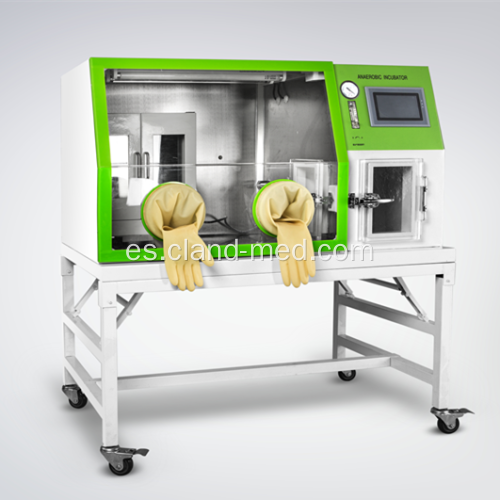 Incubadora anaerobia LAI-3T precio de la incubadora